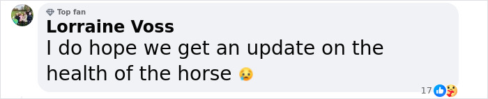 Four People Rushed To The Hospital After Blood-Covered Horses Cause Damage And Injuries In London