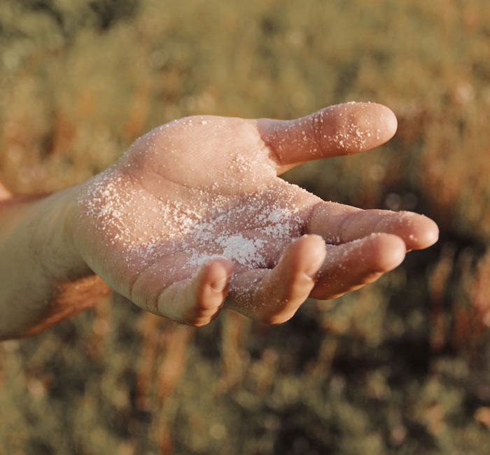 “I Just Found Out Last Year”: 30 Of The Dumbest Things People Were Convinced Were True - 22