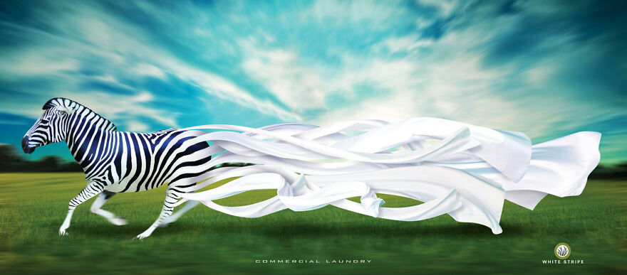 Branding For White Stripe