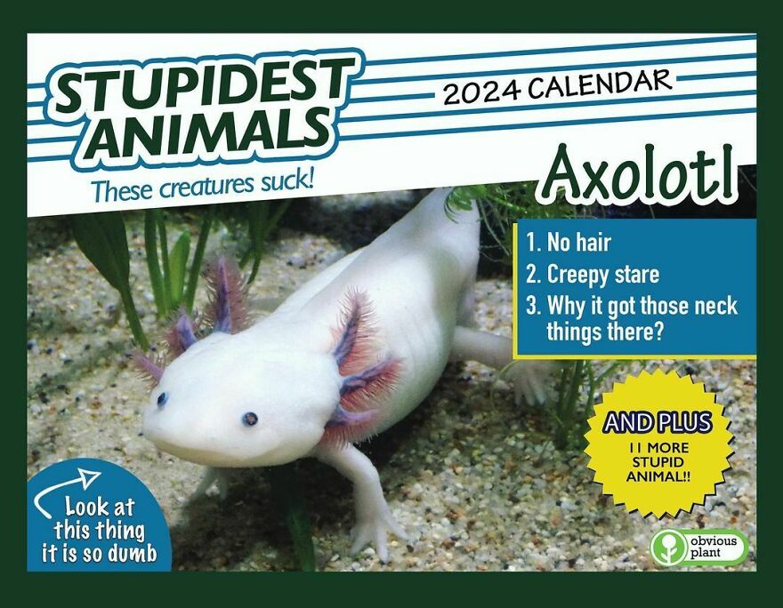 Obvious Plant Fake Products