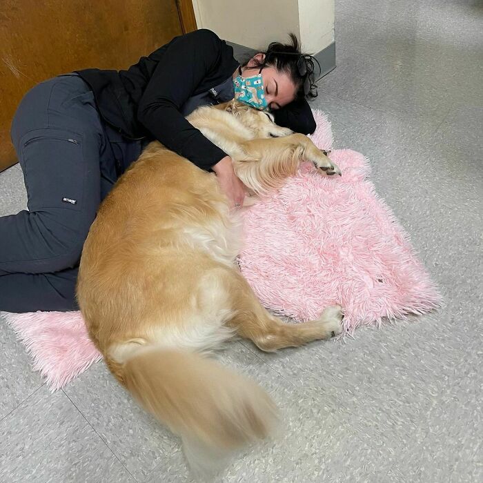 Veterinarian hugging a big dog on a pink mat, sharing a wholesome moment on the clinic floor.
