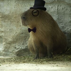 rolfeleonard616 avatar