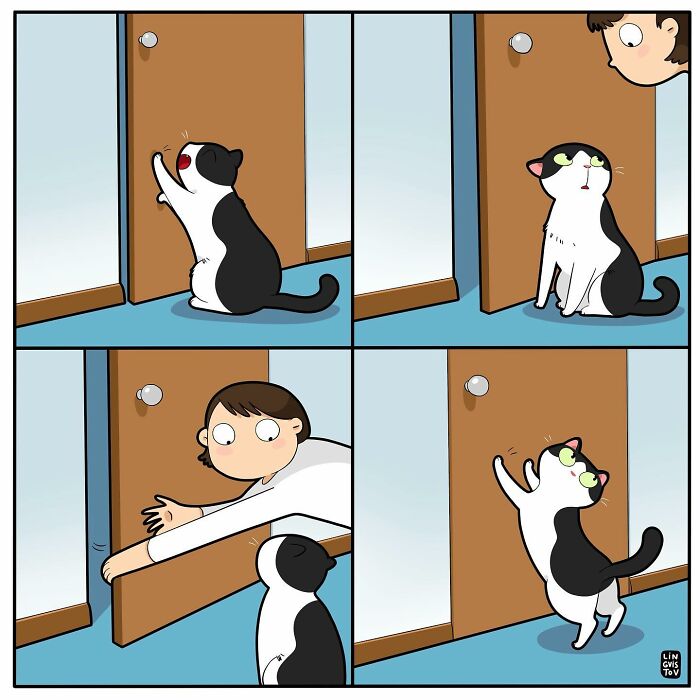 Funny Comic Of Life With A Cat By Lingvistov