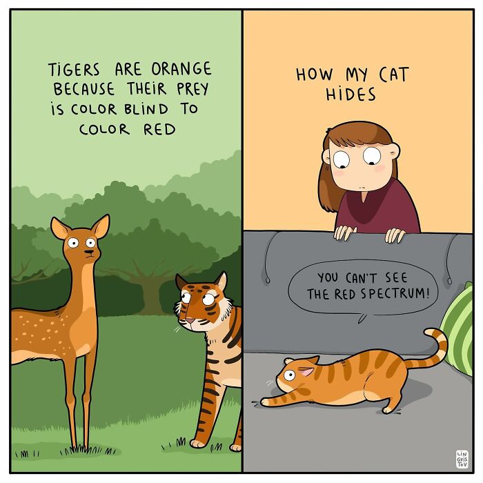 Funny Comic Of Life With A Cat By Lingvistov