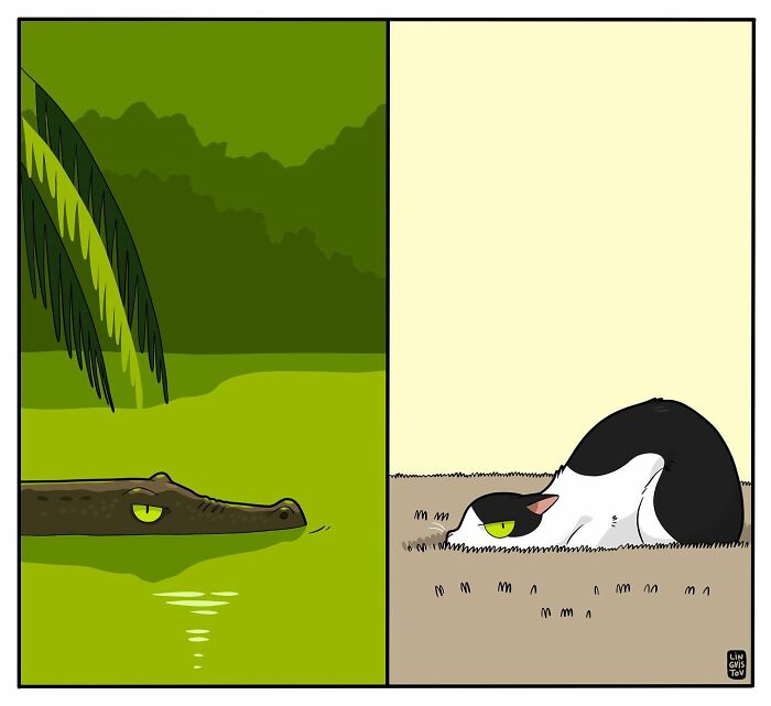 Funny Comic Of Life With A Cat By Lingvistov