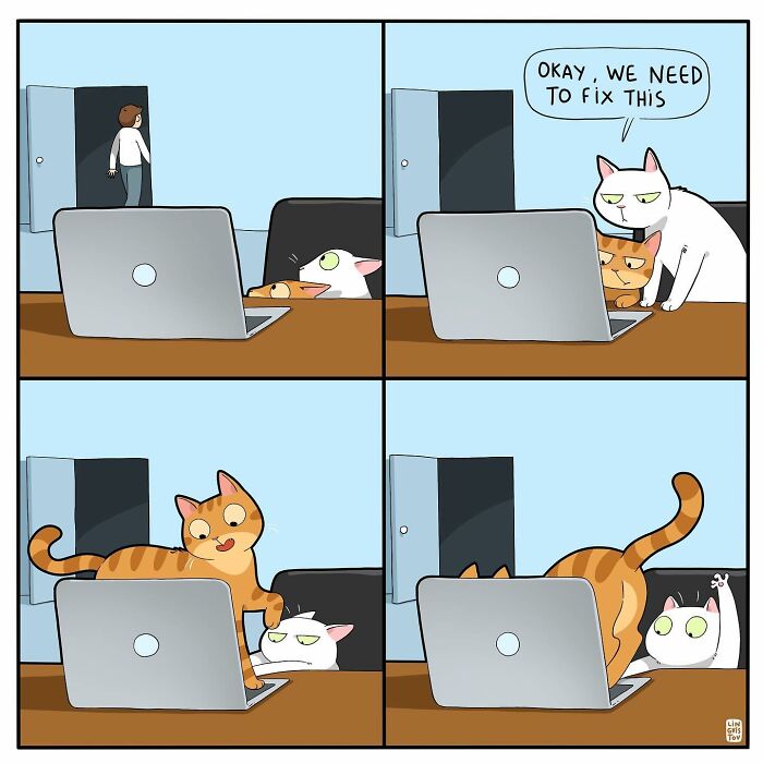 Funny Comic Of Life With A Cat By Lingvistov