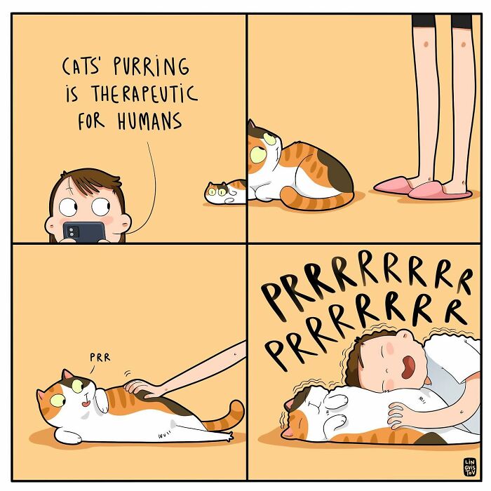 Funny Comic Of Life With A Cat By Lingvistov