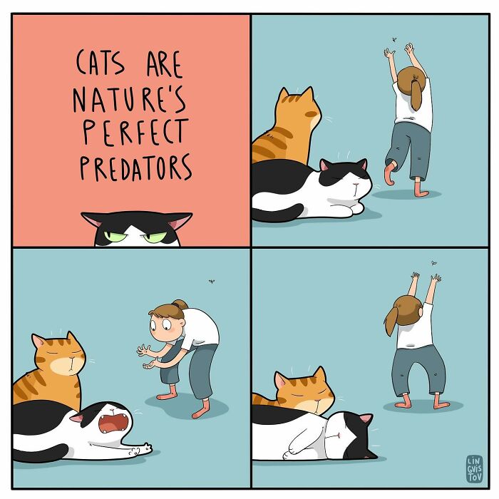 Funny Comic Of Life With A Cat By Lingvistov