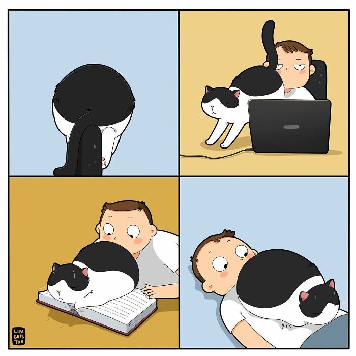 Funny Comic Of Life With A Cat By Lingvistov