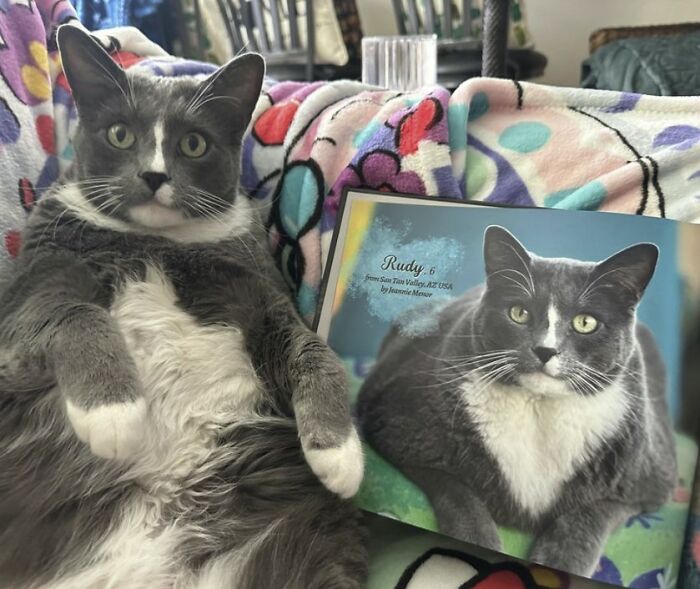 Here Are Some Heartwarming Stories Of Felines Who Have Entered Our &ldquo;LoveCATS&rdquo; Photo Contest