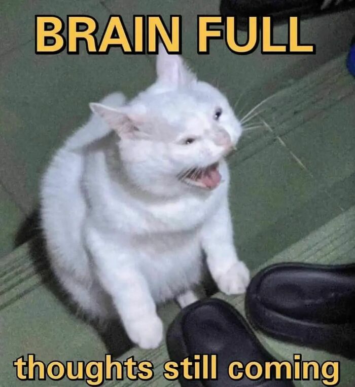 Hilarious-Mental-Health-Memes