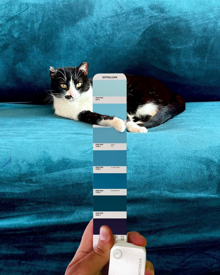 Color Quest: Exploring The Vibrant World With Andrea Antoni's Pantone Adventures (New Pics)