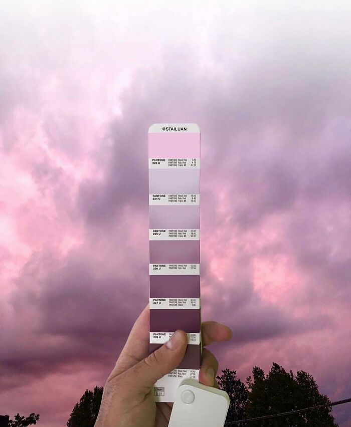 Color Quest: Exploring The Vibrant World With Andrea Antoni's Pantone Adventures (New Pics)