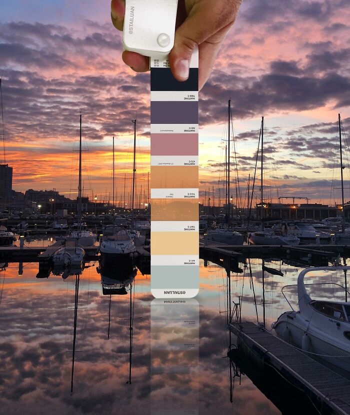 Color Quest: Exploring The Vibrant World With Andrea Antoni's Pantone Adventures (New Pics)
