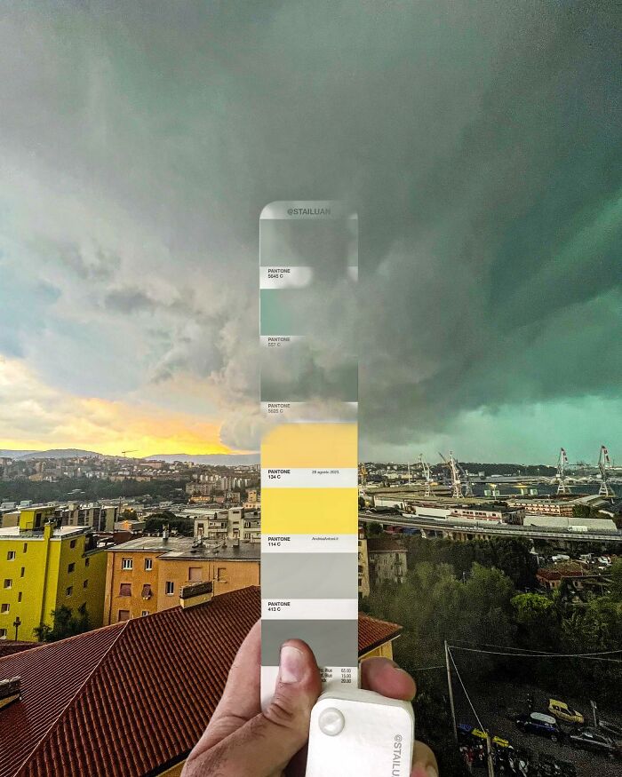 Color Quest: Exploring The Vibrant World With Andrea Antoni's Pantone Adventures (New Pics)
