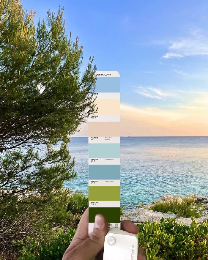Color Quest: Exploring The Vibrant World With Andrea Antoni's Pantone Adventures (New Pics)