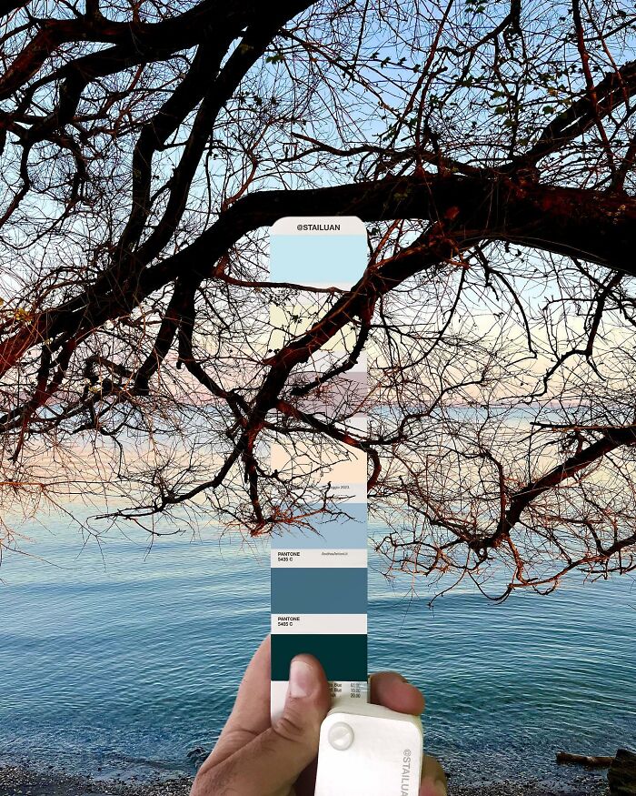 Color Quest: Exploring The Vibrant World With Andrea Antoni's Pantone Adventures (New Pics)