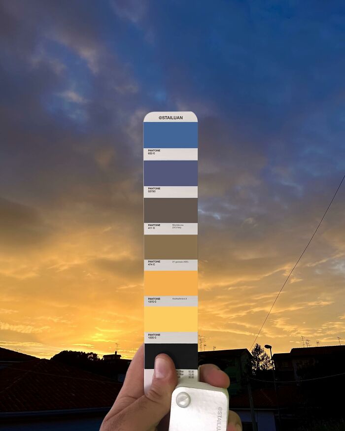 Color Quest: Exploring The Vibrant World With Andrea Antoni's Pantone Adventures (New Pics)