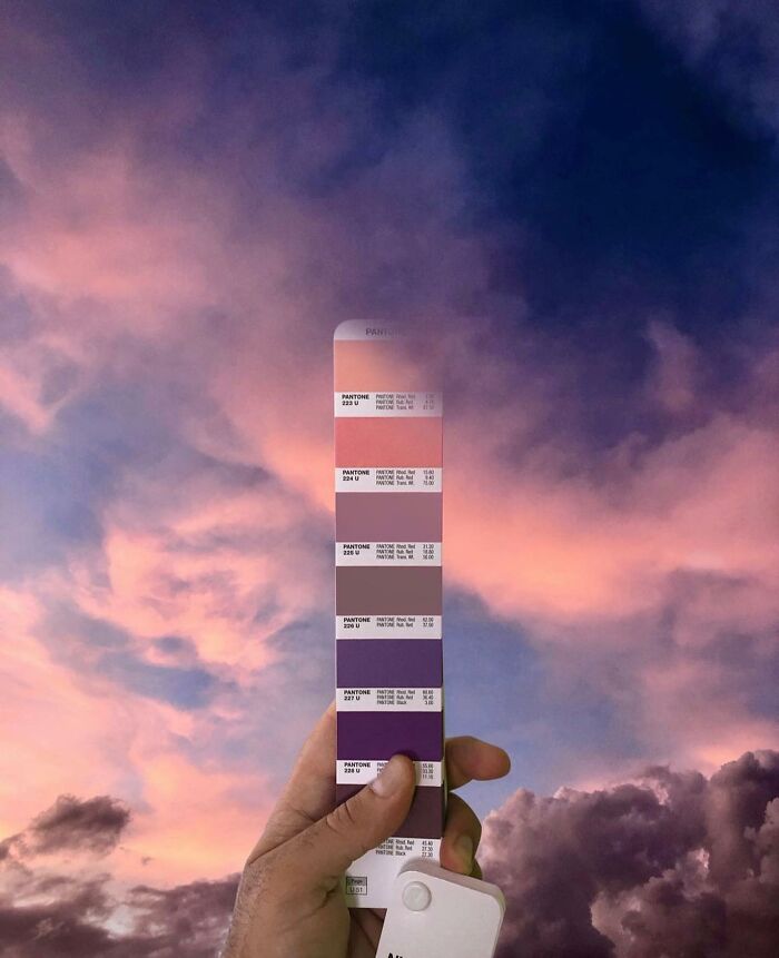 Color Quest: Exploring The Vibrant World With Andrea Antoni's Pantone Adventures (New Pics)