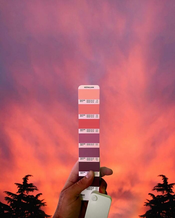 Color Quest: Exploring The Vibrant World With Andrea Antoni's Pantone Adventures (New Pics)