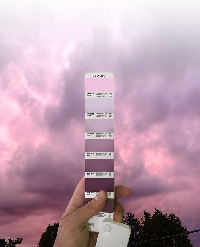 Color Quest: Exploring The Vibrant World With Andrea Antoni's Pantone Adventures (New Pics)