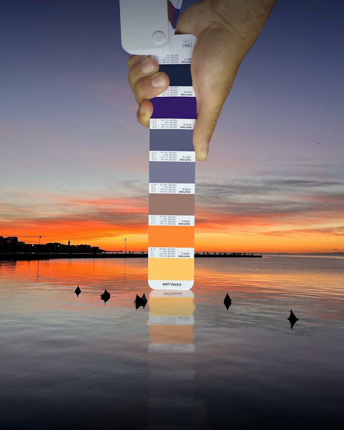 Color Quest: Exploring The Vibrant World With Andrea Antoni's Pantone Adventures (New Pics)