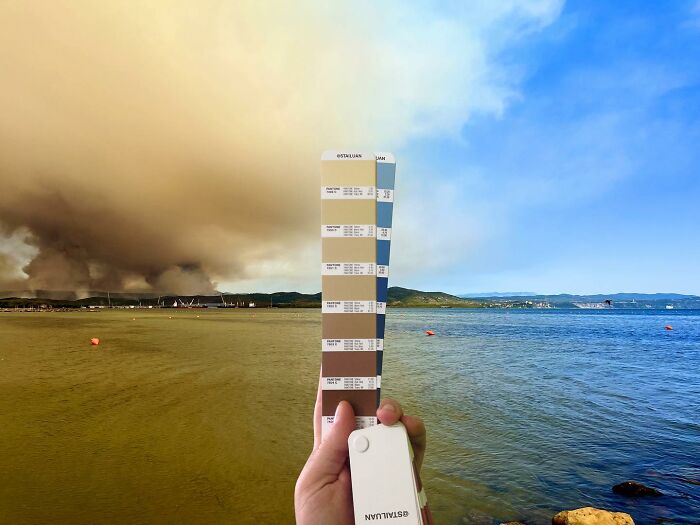 Color Quest: Exploring The Vibrant World With Andrea Antoni's Pantone Adventures (New Pics)