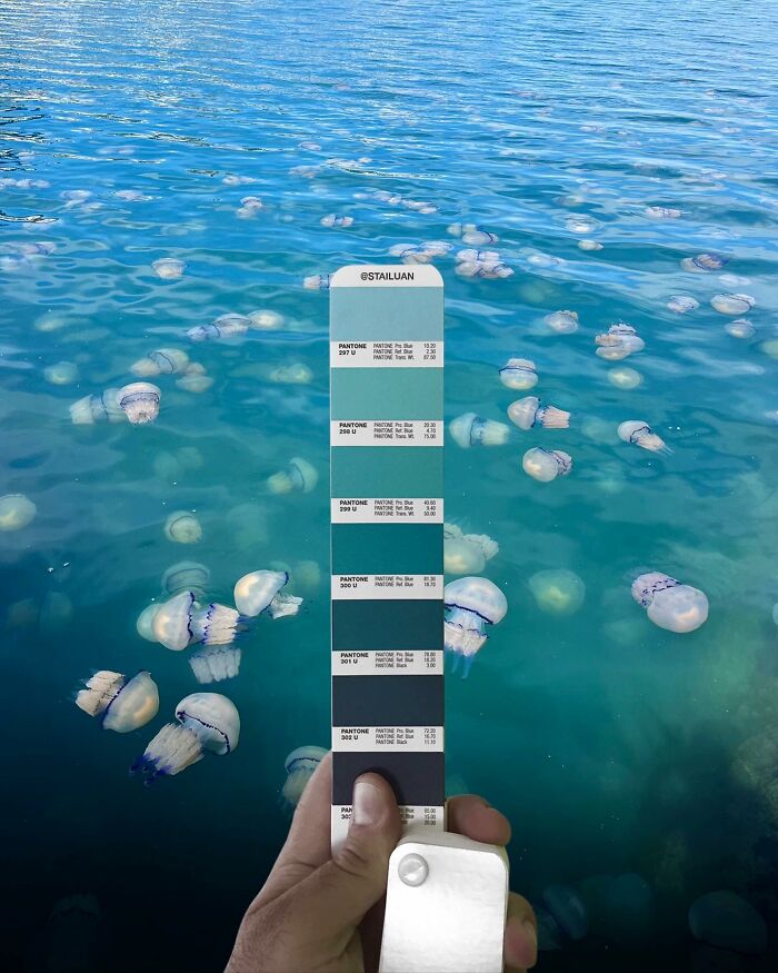 Color Quest: Exploring The Vibrant World With Andrea Antoni's Pantone Adventures (New Pics)