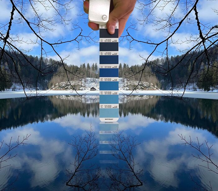 Color Quest: Exploring The Vibrant World With Andrea Antoni's Pantone Adventures (New Pics)