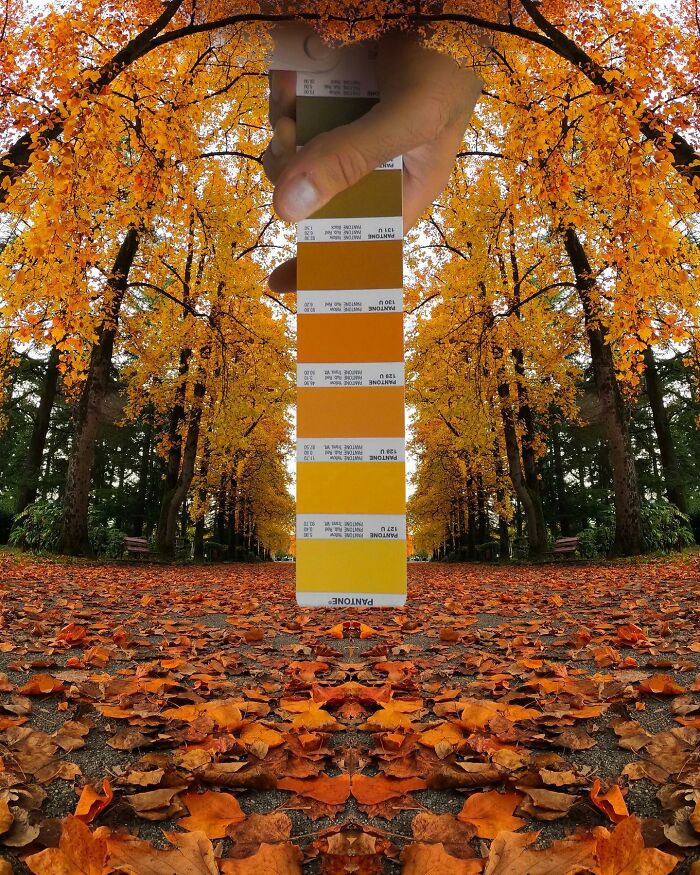 Color Quest: Exploring The Vibrant World With Andrea Antoni's Pantone Adventures (New Pics)