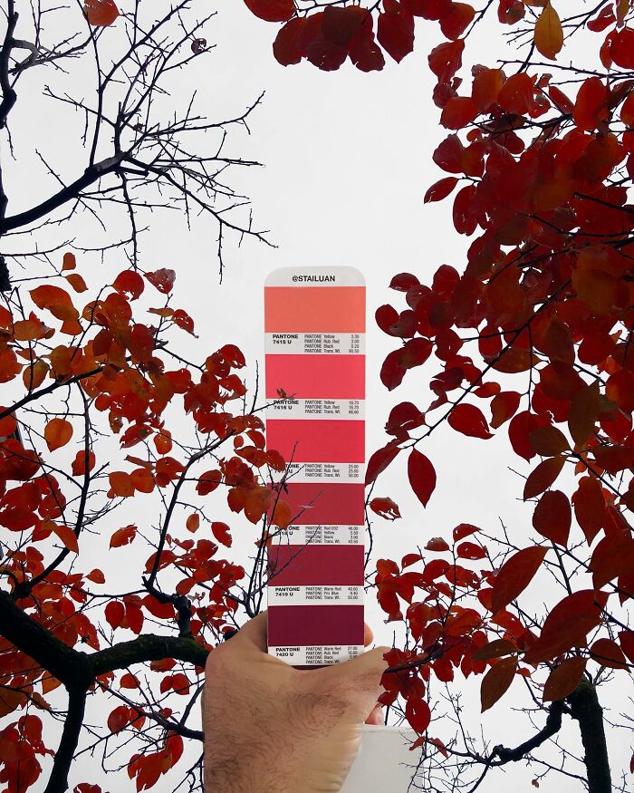 Color Quest: Exploring The Vibrant World With Andrea Antoni's Pantone Adventures (New Pics)