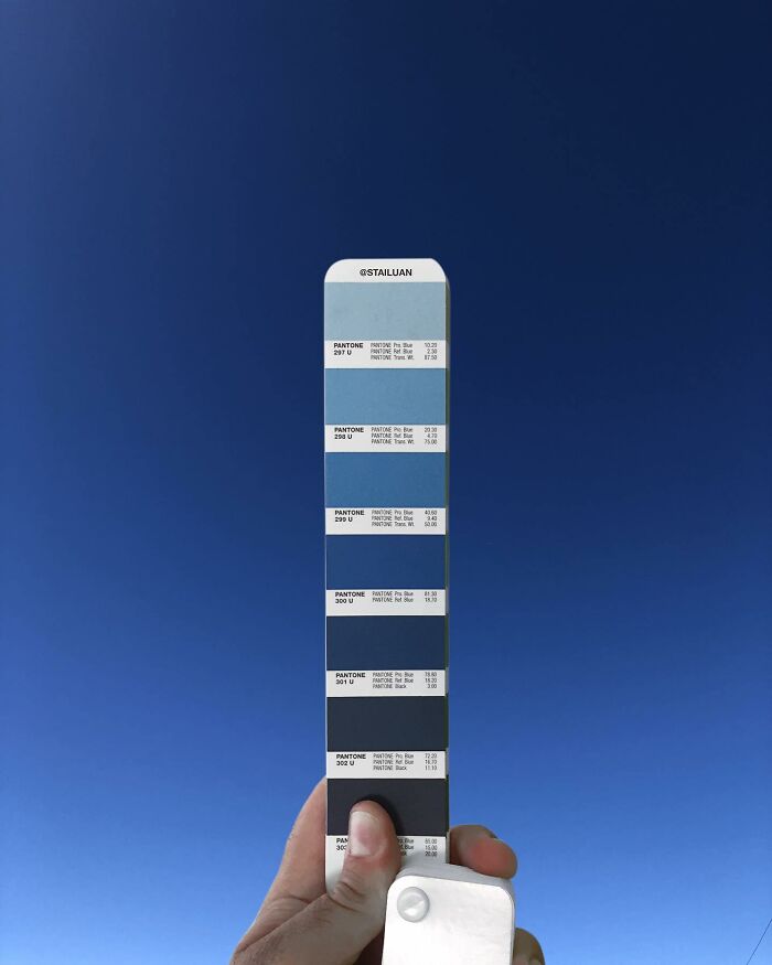 Color Quest: Exploring The Vibrant World With Andrea Antoni's Pantone Adventures (New Pics)