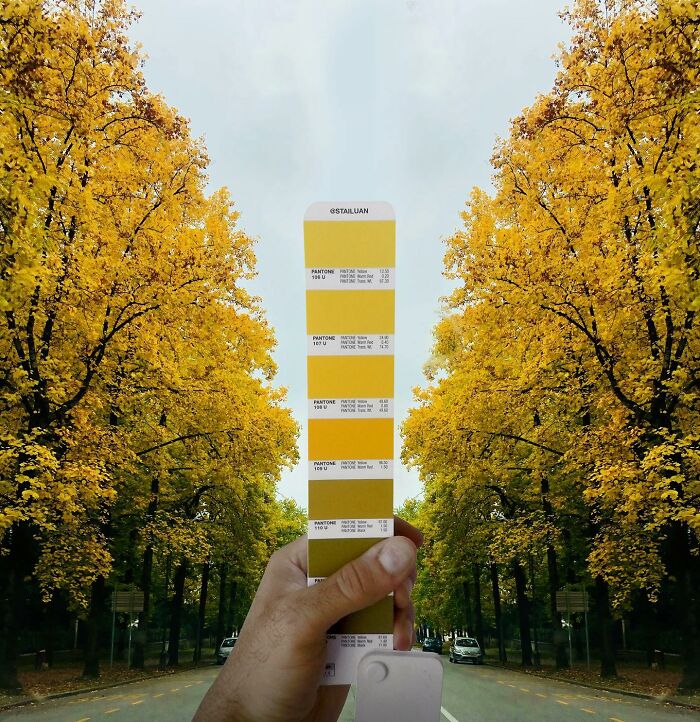 Color Quest: Exploring The Vibrant World With Andrea Antoni's Pantone Adventures (New Pics)