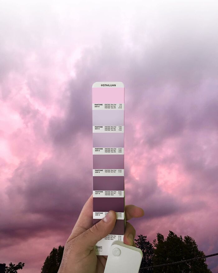 Color Quest: Exploring The Vibrant World With Andrea Antoni's Pantone Adventures (New Pics)