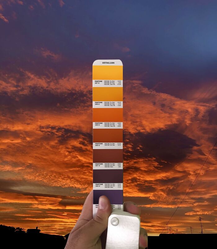 Color Quest: Exploring The Vibrant World With Andrea Antoni's Pantone Adventures (New Pics)