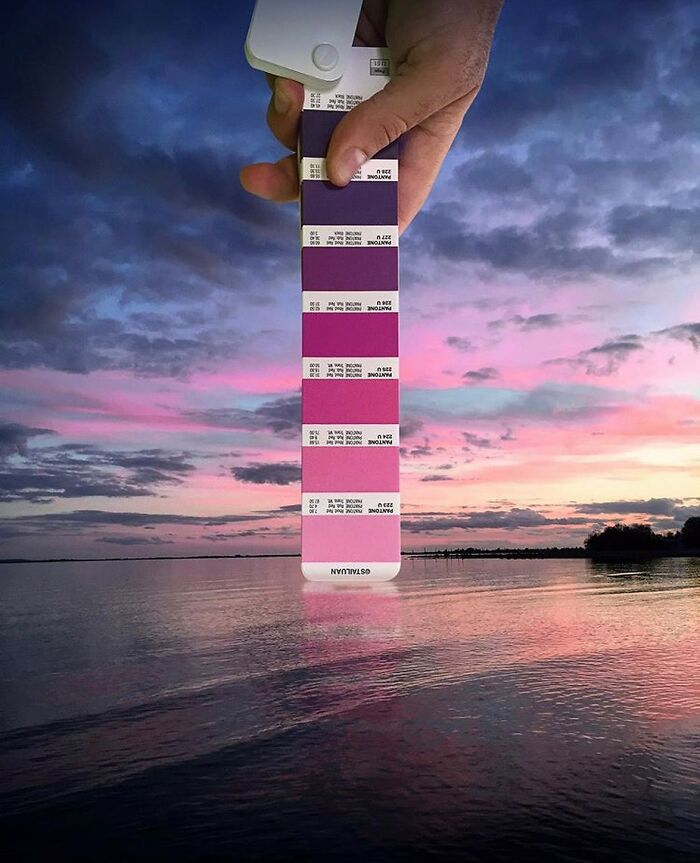 Color Quest: Exploring The Vibrant World With Andrea Antoni's Pantone Adventures (New Pics)