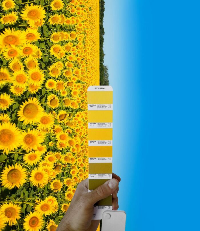 Color Quest: Exploring The Vibrant World With Andrea Antoni's Pantone Adventures (New Pics)