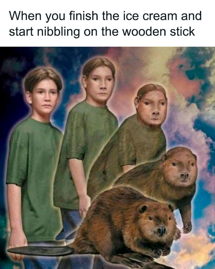 Funny-Food-Cooking-Memes