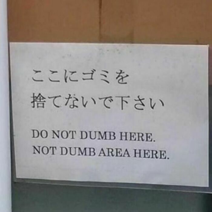 Sign with humorous English translation: "Do not dumb here. Not dumb area here." Relatable mental health meme.