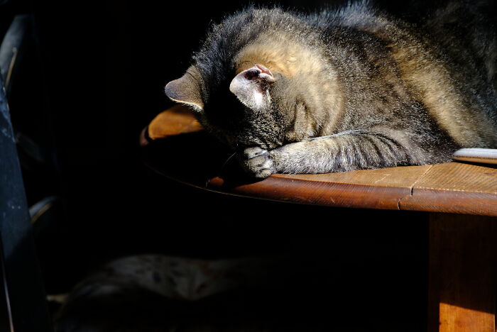 Oui Must Not Be Seen