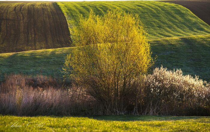 How Spring Gave Birth To Nature