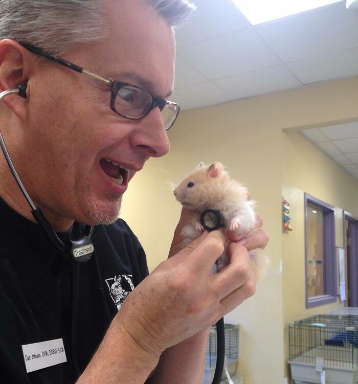 Veterinarian smiles while examining a fluffy hamster with a stethoscope, capturing a wholesome moment in the office.