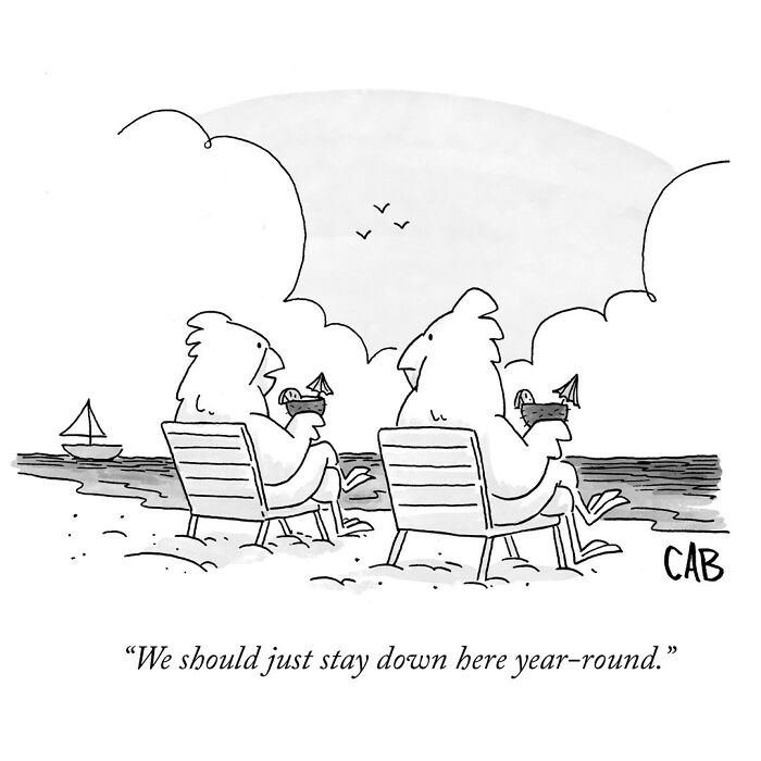 Dive Into The Whimsical World Of Mat Barton's Comics