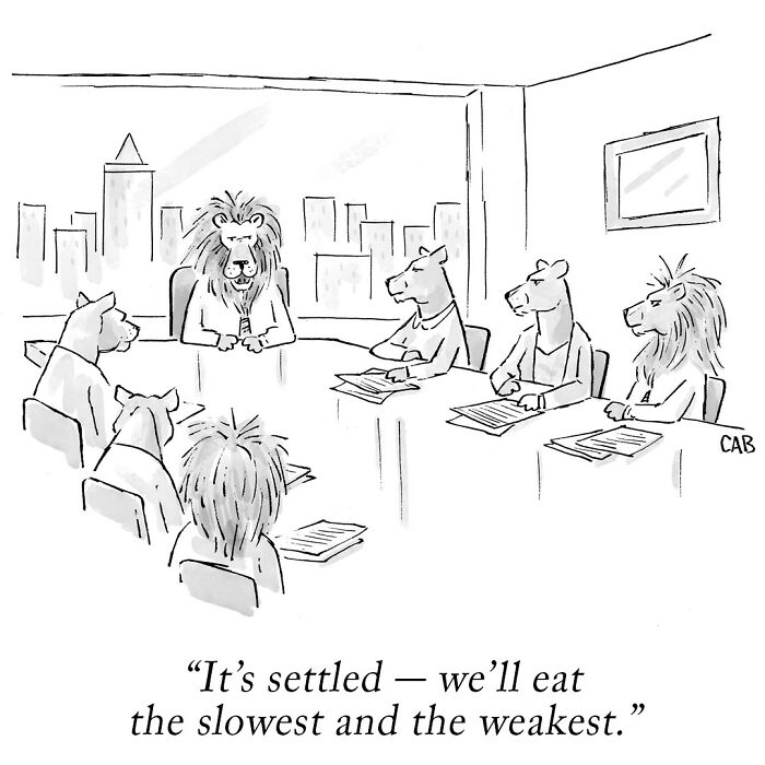 Dive Into The Whimsical World Of Mat Barton's Comics