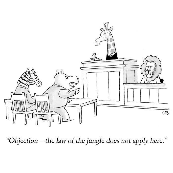 Dive Into The Whimsical World Of Mat Barton's Comics