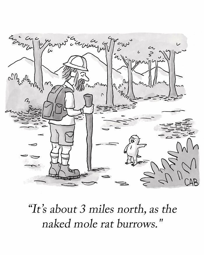 Dive Into The Whimsical World Of Mat Barton's Comics