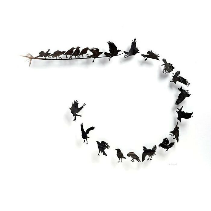 Feathered Fantasies: The Exquisite Avian Artistry Of Chris Maynard (New Pics)