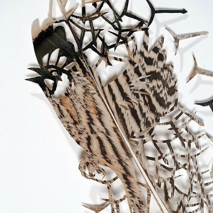 Feathered Fantasies: The Exquisite Avian Artistry Of Chris Maynard (New Pics)