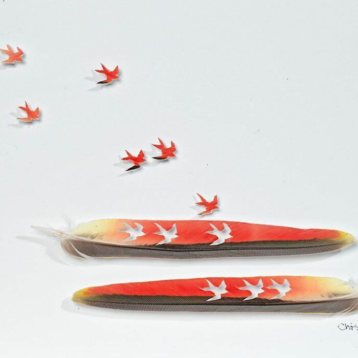 Feathered Fantasies: The Exquisite Avian Artistry Of Chris Maynard (New Pics)