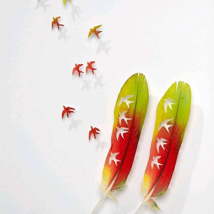 Feathered Fantasies: The Exquisite Avian Artistry Of Chris Maynard (New Pics)